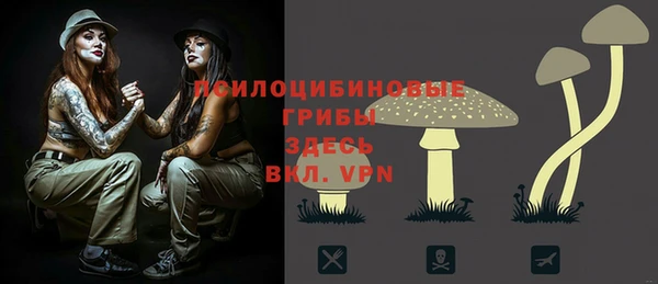 первитин Вязьма